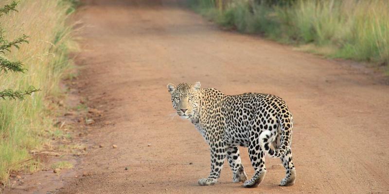 个人护理进阶指南：从唇形美学到口红画法，打造M唇与微笑唇的秘诀