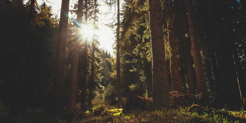 从香水选购到个人护理：打造专属美妆仪式感的完整指南