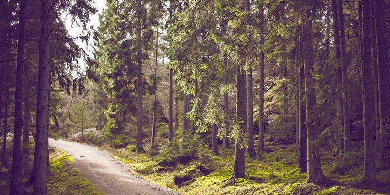 学生党百元内全套彩妆清单：商城性价比战斗机合集，附香水护肤秘籍