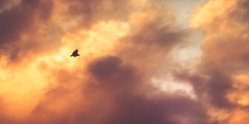 混干皮与混油皮四季护肤方案：好妍中国教你分区护理精准应对