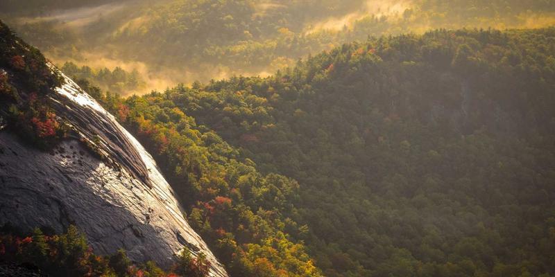 男士理容入门指南：从基础护肤品到清爽造型产品一站式选购