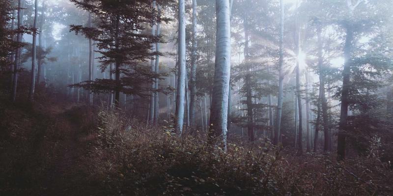 眼镜妹必看！个人护理与美妆指南：打造镜片后依然闪耀的眼妆技巧