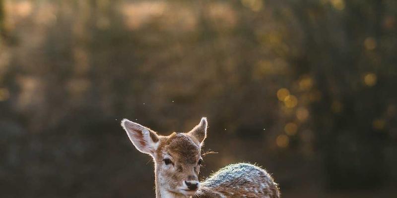 美妆39:解码现代美妆趋势,打造个性化护肤与彩妆方案