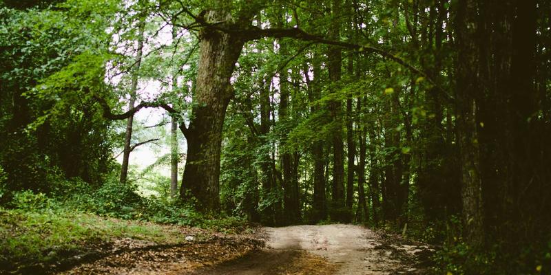 美妆97世代：香水、护肤与个人护理的融合新美学