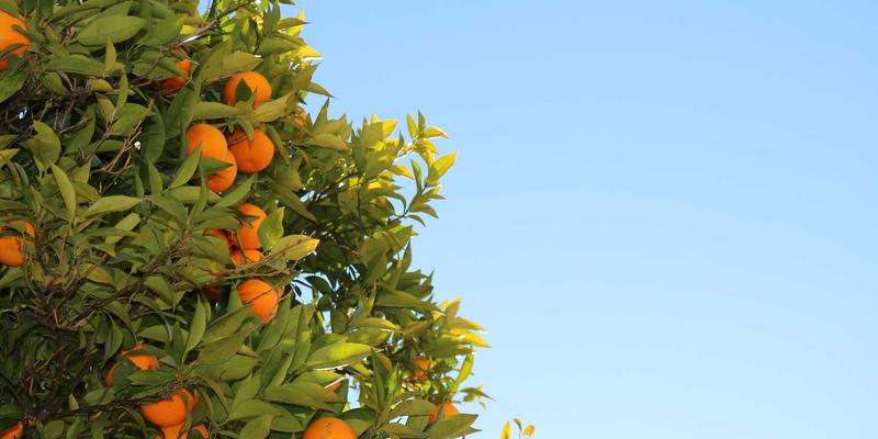 美妆、个人护理与香水：打造专属魅力，开启精致生活仪式感