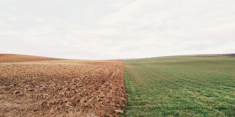 美妆色彩协调指南：从发色到眉色，打造整体性妆容与个人风格